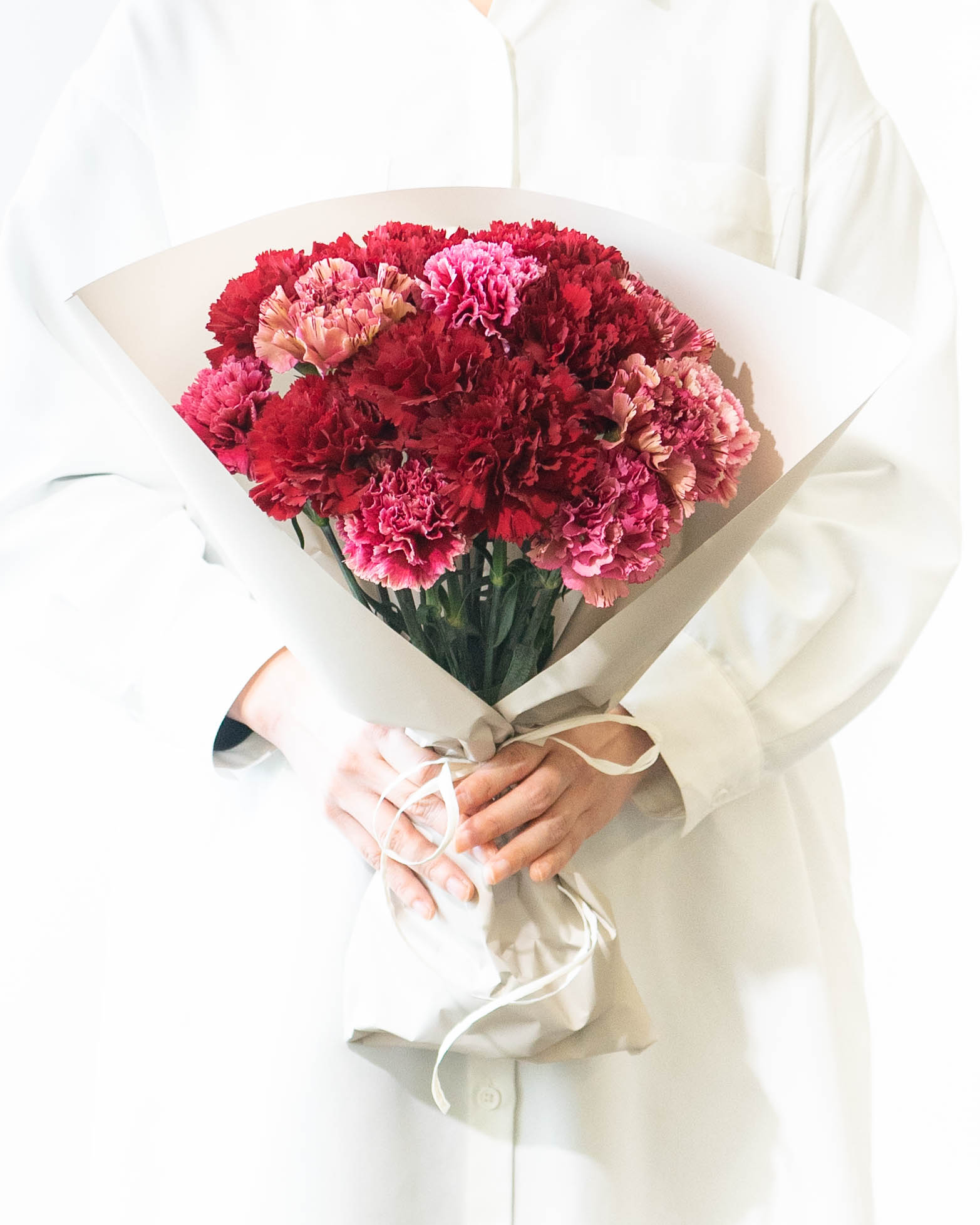 カーネーションの花言葉と風水効果花言葉・誕生花HanaPrime ハナプライム