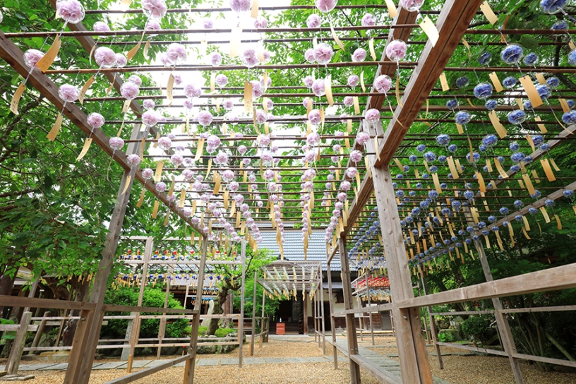正寿院風鈴まつり2025年6月1日～9月30日 花風鈴トンネル