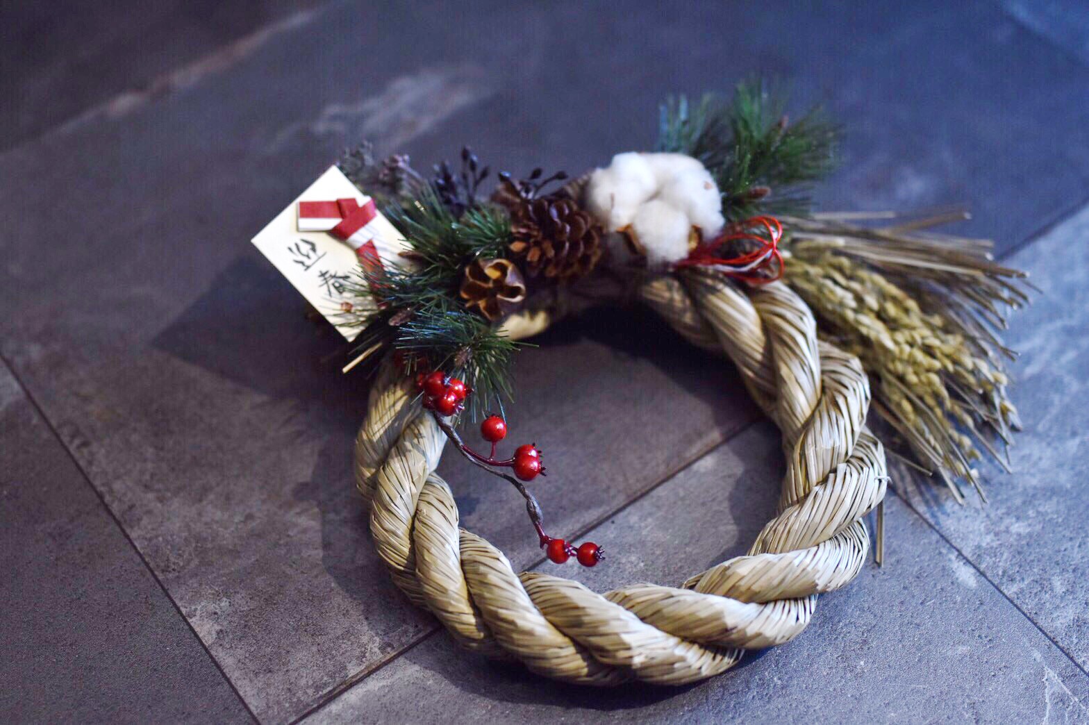 初夏の里山、赤い木の実・身近な生き物不思議生活コウゾ、ナワシロイチゴ、ニワトコ