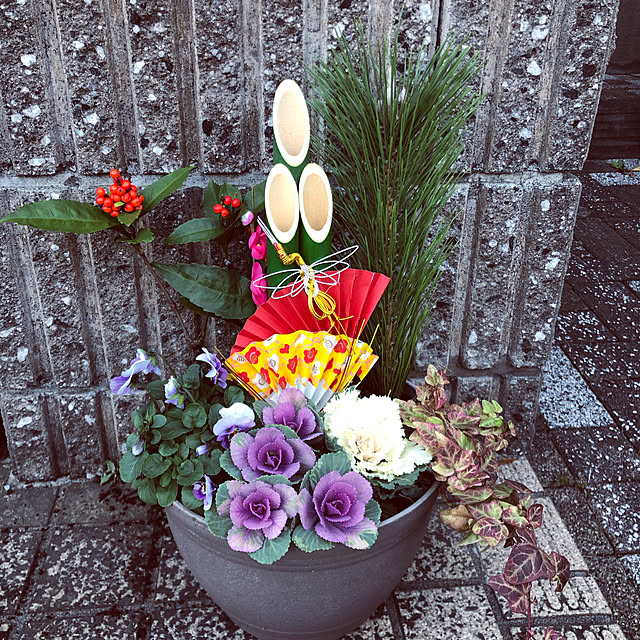 お正月に飾る葉牡丹の寄せ植え特集