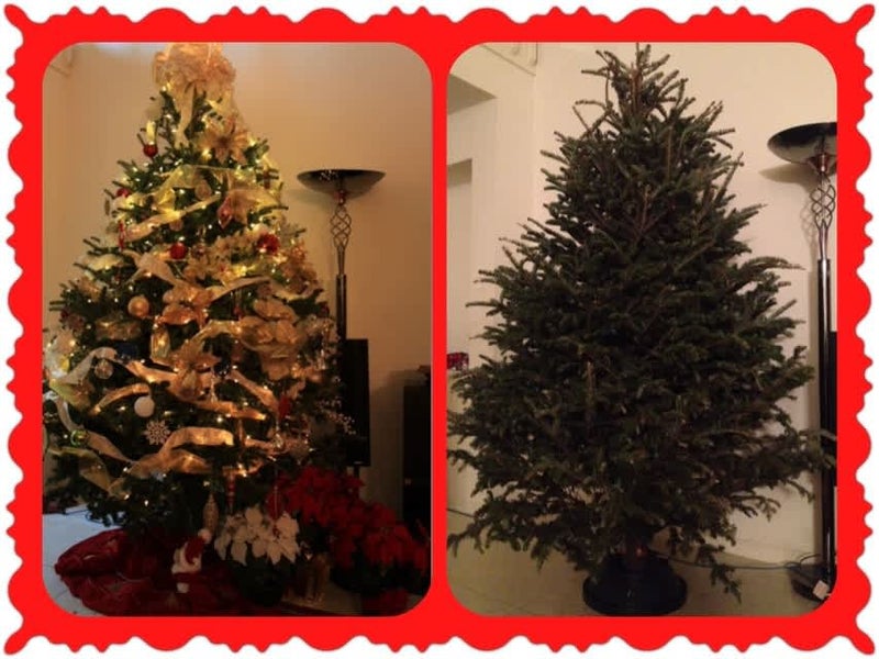 片付け不要で手軽なクリスマスツリーをご自宅に！社会や環境にも優しいクリスマスツリーが12月5日から新発売！株式会社ethicaのプレスリリース