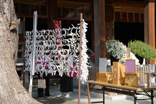 國のまほろばをみゆ: おみくじ掛け 作製