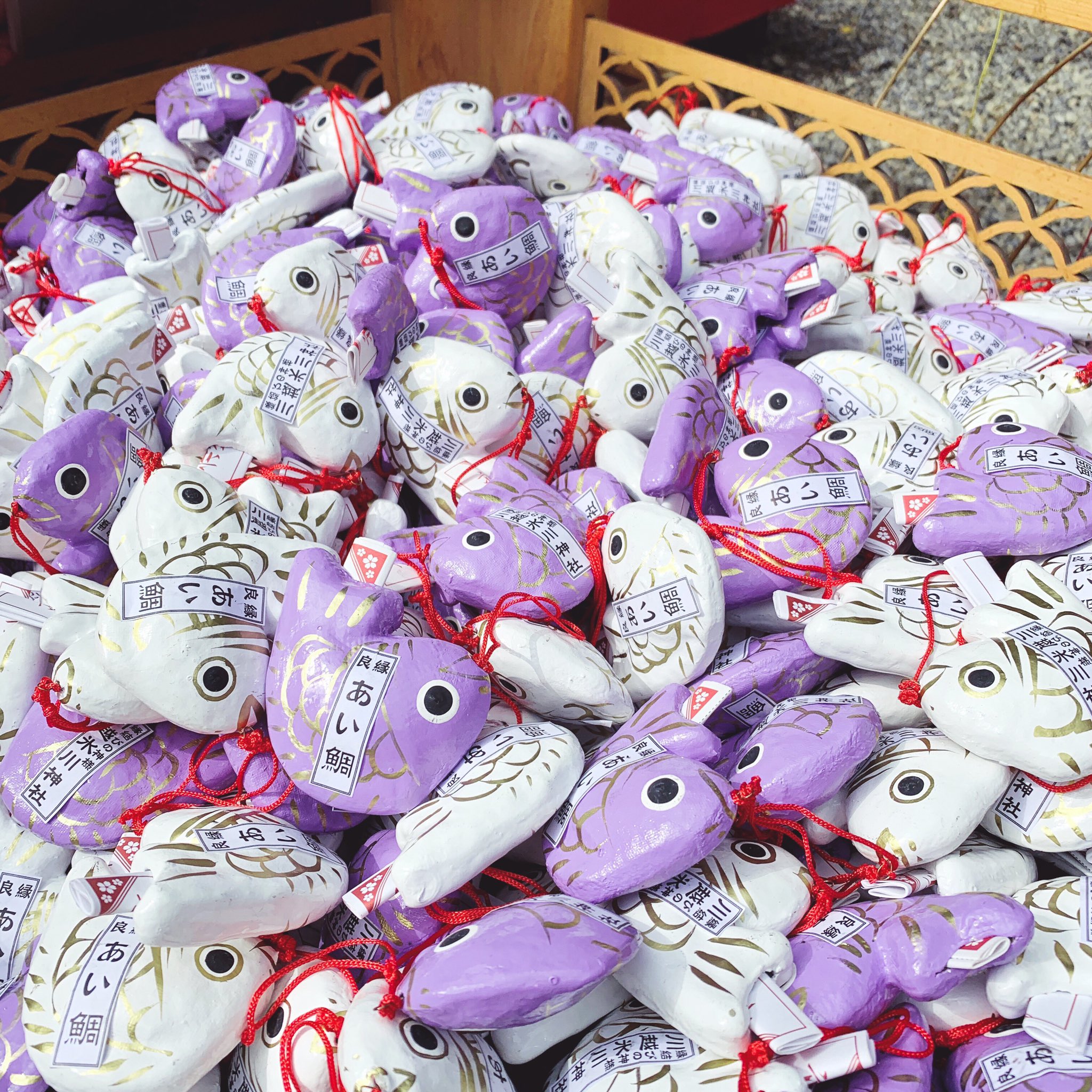 四季の彩りを楽しむ－鯛みくじ－川越氷川神社