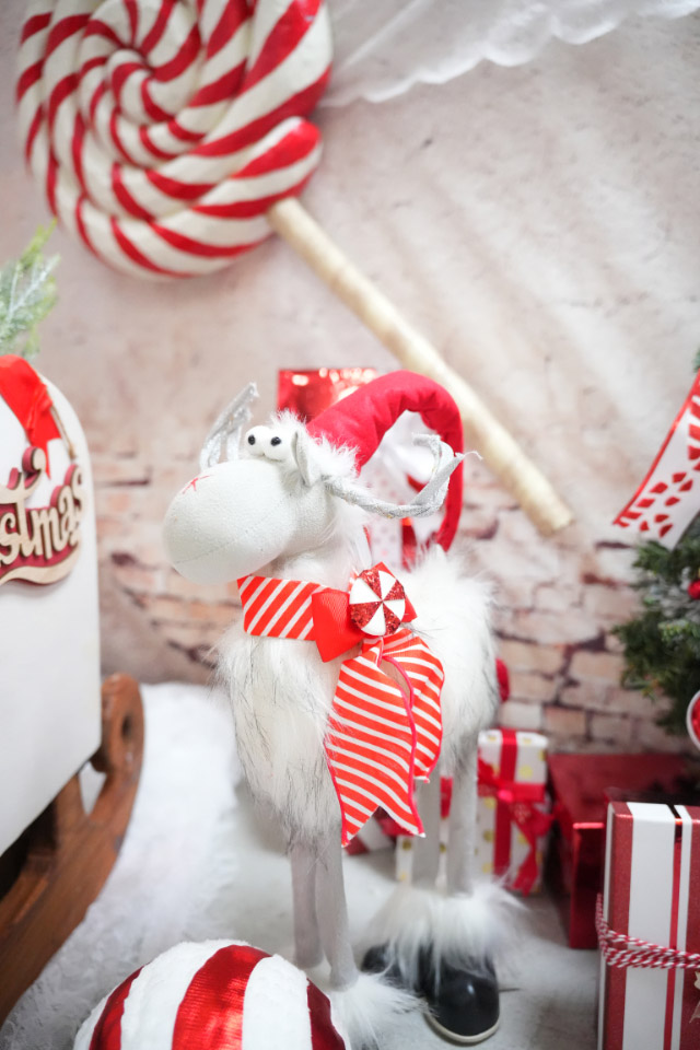 Christmas 12 11 金フォトブース撮影会イベント2F 柏の葉ラウンジ 2020年12月11日 金柏の葉T-SITE蔦屋書店を中核とした生活提案型商業施設