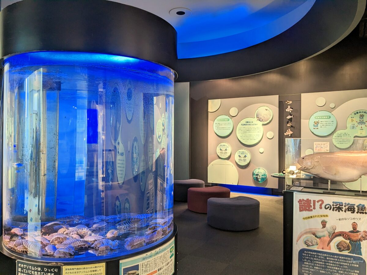 静岡・焼津 うみえーる焼津 海鮮味道 まぐろ茶屋でランチ☆幸せ探しの旅に出よう☆inアメブロ』by 温泉ソムリエ☆チャペス : まぐろ茶屋 - 焼津 海鮮食べログ