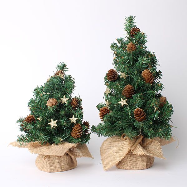 クリスマスにおすすめ！巨大松ぼっくりでツリー作り♪ - 宮城県川崎町公式ホームページ