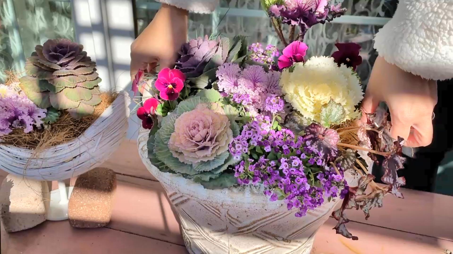 お正月飾り ミニ葉牡丹の寄せ植え - メルカリ