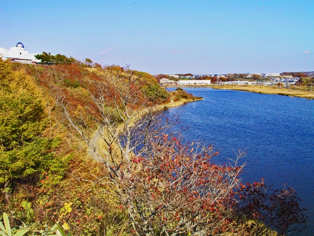 北海道釧路市第61回春採湖水まつり湖上花火大会🎇に行って来ました🚗春採公園ネイチャーセンター東横広場🦆令和6年8月10日DJIOSMOACTION4&iPhone14Proで4K撮影