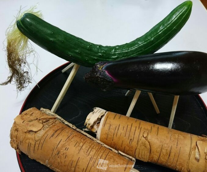 お盆になすときゅうりで作る精霊馬の意味や作り方、処分方法まで葬儀・家族葬なら よりそうお葬式