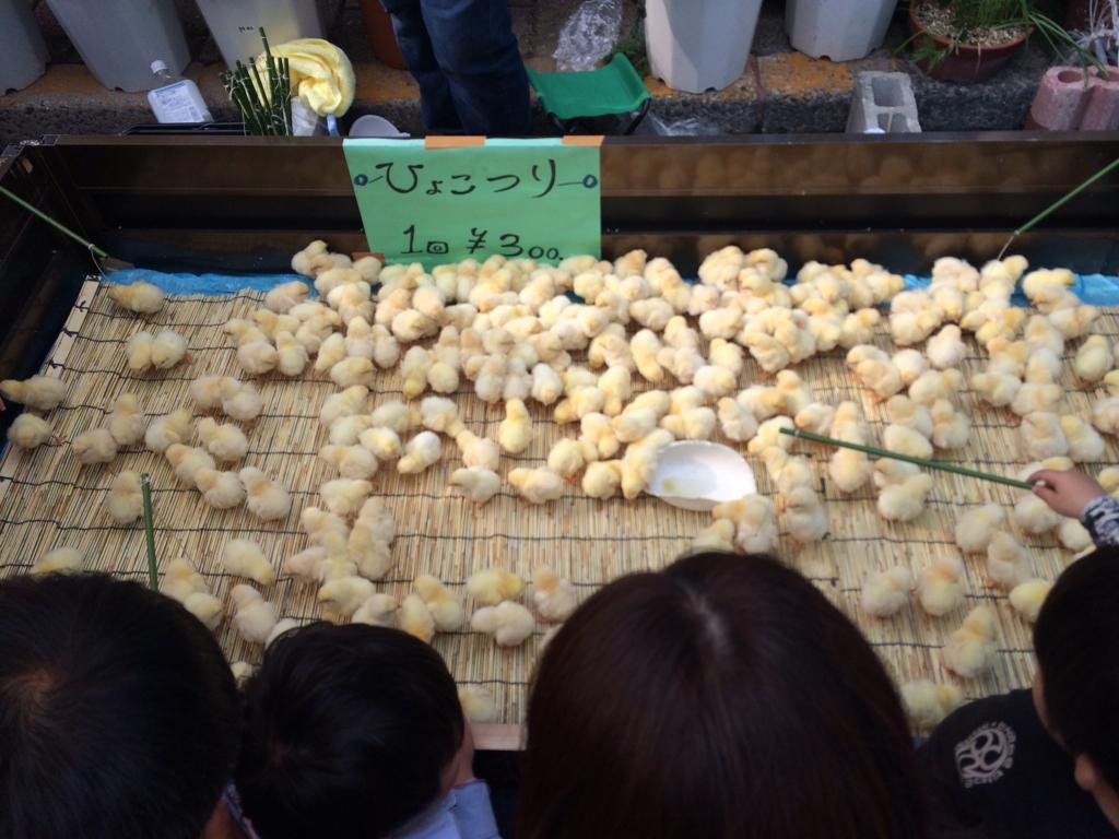 ことりとひよこのポンポンヨーヨー 24個入 縁日すくい つかみ取り すくいどり 縁日 景品 問屋 お祭り 子供 おもちゃ 祭り 縁日用品 屋台イベント : フェスティバルプラザ - 通販 - Yahoo!ショッピング