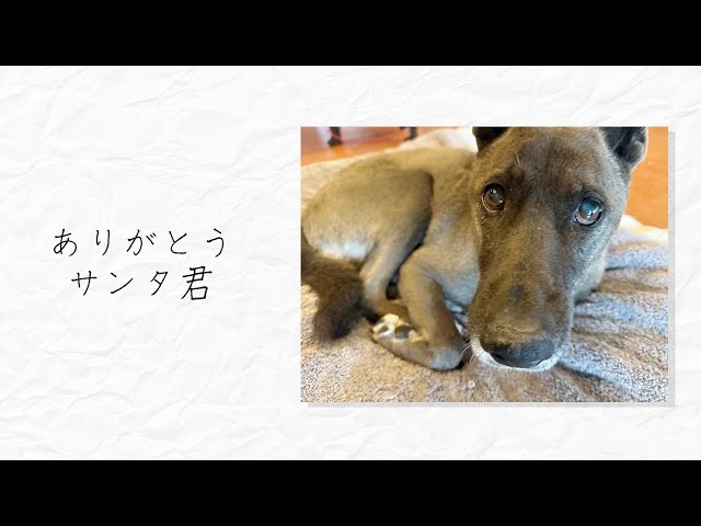 今夜は『坂上家のチャンネル』配信日!onisl-maniaさんのﾌﾞﾛｸﾞ