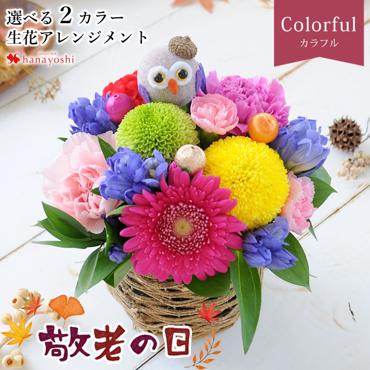 敬老の日におすすめの花5選花ギフトの種類や喜ばれる花言葉観葉植物・お花の通販 AND PLANTSアンドプランツ