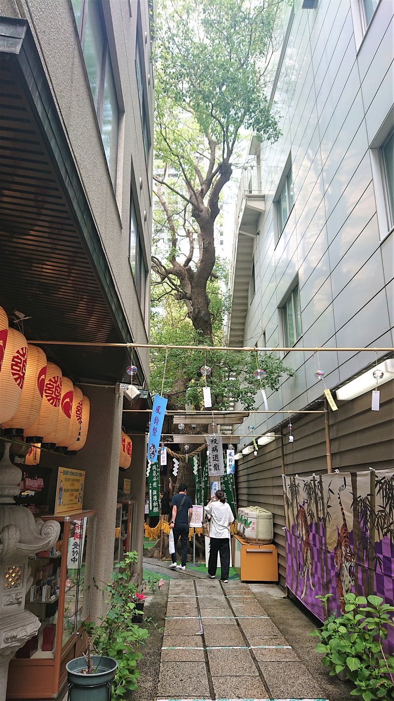 救われるのは蘇民将来の子孫!?京都「八坂神社」疫病封じの御利益京都府トラベルjp 旅行ガイド
