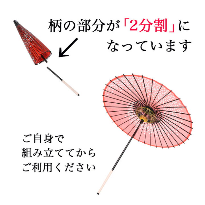 3月16日から 2024年の七五三撮影＆お参り衣装レンタルスタート！ 衣装、ヘアメイク、着付け、小物がセットで、早期に撮影すれば0円からレンタル可能なお得な料金プランを展開株式会社らかんスタジオのプレスリリース