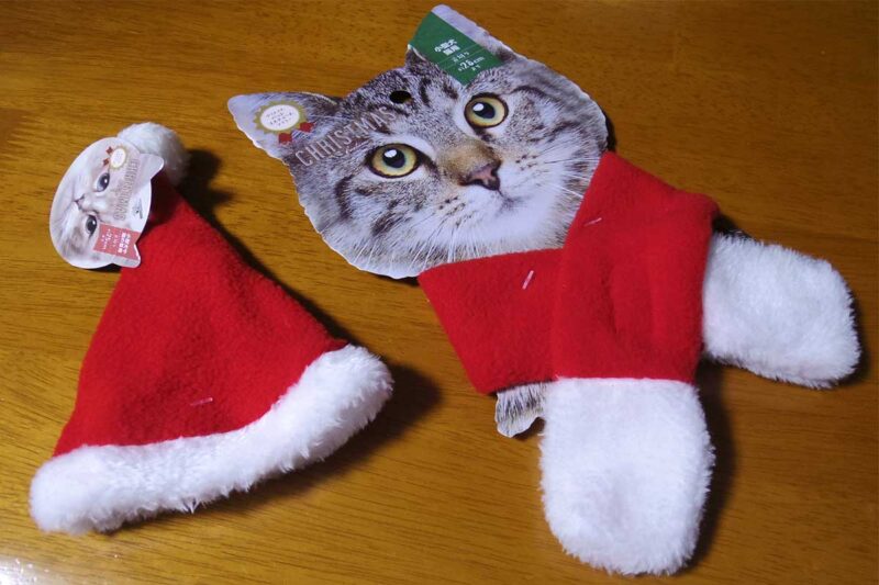 セリアのクリスマスペット服や犬猫用帽子がかわいい！トナカイもあるよ