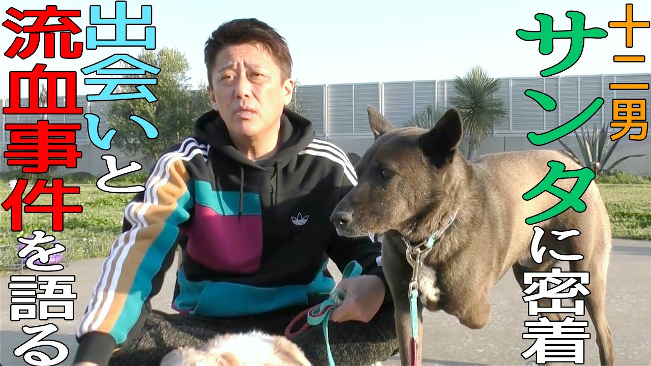 坂上忍さんが自力運営する動物保護ハウス「さかがみ家」とは？カフェやオリジナルグッズも紹介equall LIFE