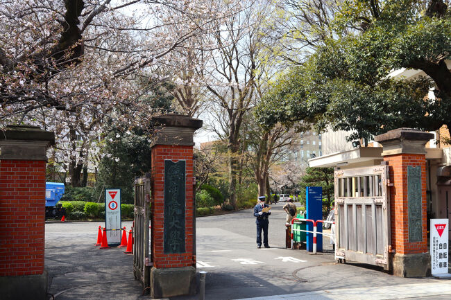 宮城裕子🌸 桜の開花 まだまだでしたが 椿は満開 美しく咲いていました 学習院大学内 霞会館記念学習院ミュージアム 「華族文化 美の玉手箱」霞会館記念学習院ミュージアム空気が澄んでた桜が満開の時に来たかったInstagram