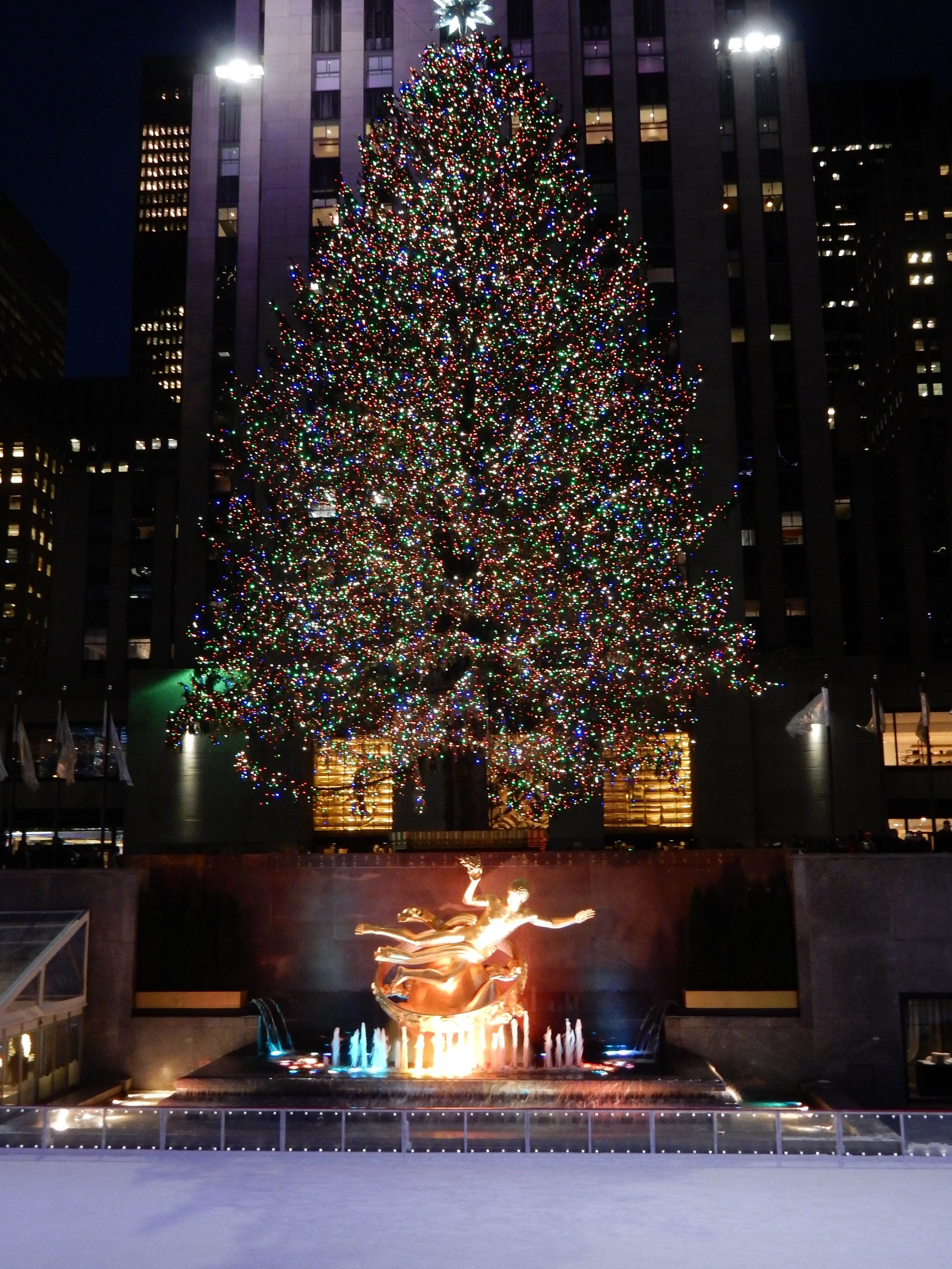 ひと足先にクリスマス 気分❔ 🎅『ホーム・アローン2』🗽 本日 12 20 よる9時～放送 日本テレビ系 金曜ロードショー ※一部地域を除くあの2人組の泥棒とまさかの遭遇⁉️ ニューヨークを舞台に大騒ぎ！ 何度みても笑って泣ける❄️ クリスマスコメディ🎄ホームアローン