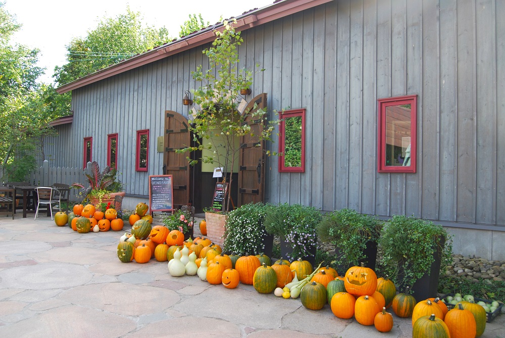 ハロウィン 飾り 屋外 6枚セット ハロウィン 装飾 庭 置物 黒い猫 ガーデンアクセサリー 庭 屋外 挿入式 マーカー ハロウィングッズ 飾りデコレーション