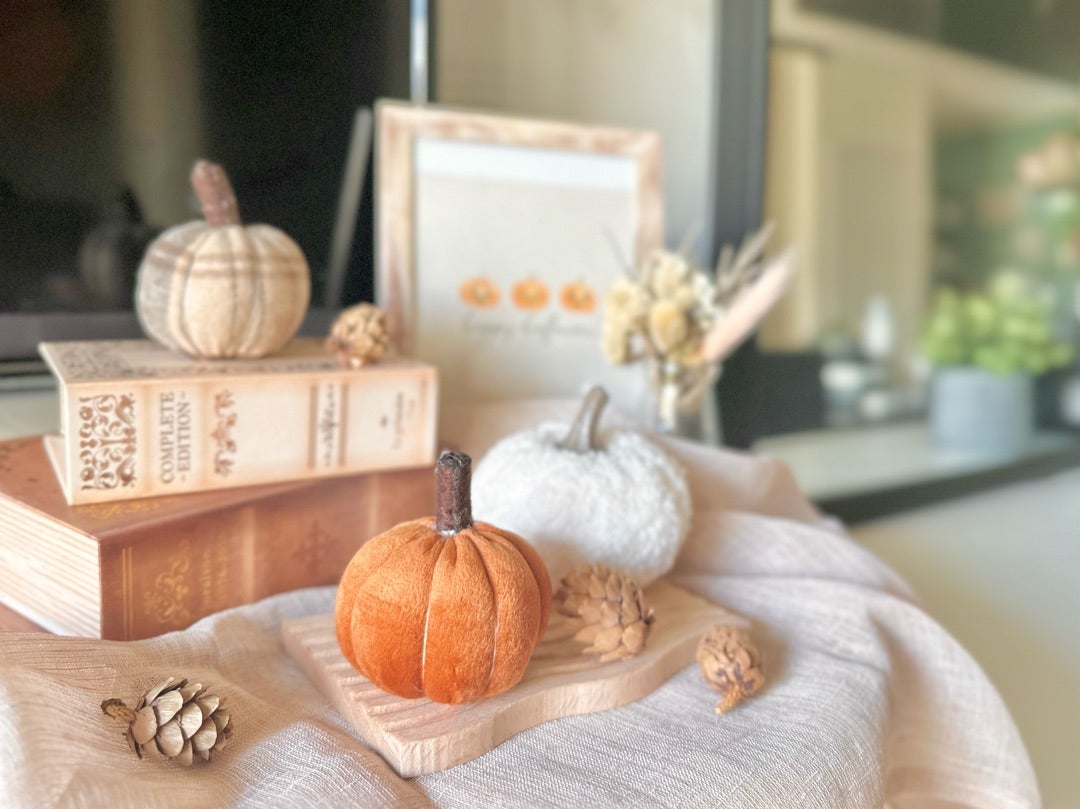 ハロウィンディスプレイの写真・画像素材-Snapmart スナップマート