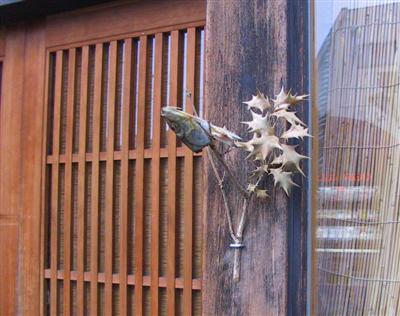 節分の飾りで柊鰯 ヒイラギイワシ を作りました🌿🐟👹✨, 今回は、ありもの材料でカマボコ板を使っています。,柊鰯は、節分に魔除けとして柊の枝に焼いた鰯の頭を刺したもので、玄関口に飾るものだそうです😌,柊の葉の棘が鬼を刺し、鰯を焼く臭気と煙で鬼が近寄らないと言われているそうです🌿🐟👹✨😯,節分は、各季節の始まりの日で、立春🌸立夏🏖️立秋🍁立冬☃️の前日のことで、年4回だそうです。,