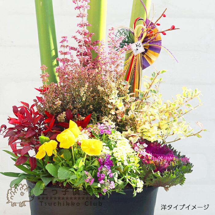 お正月に飾る葉牡丹の寄せ植え特集