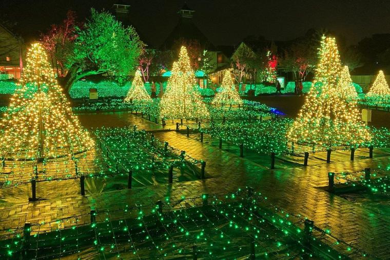 なばなの里12 23～25 日付指定 専用前売り券が必要ですナガシマリゾート