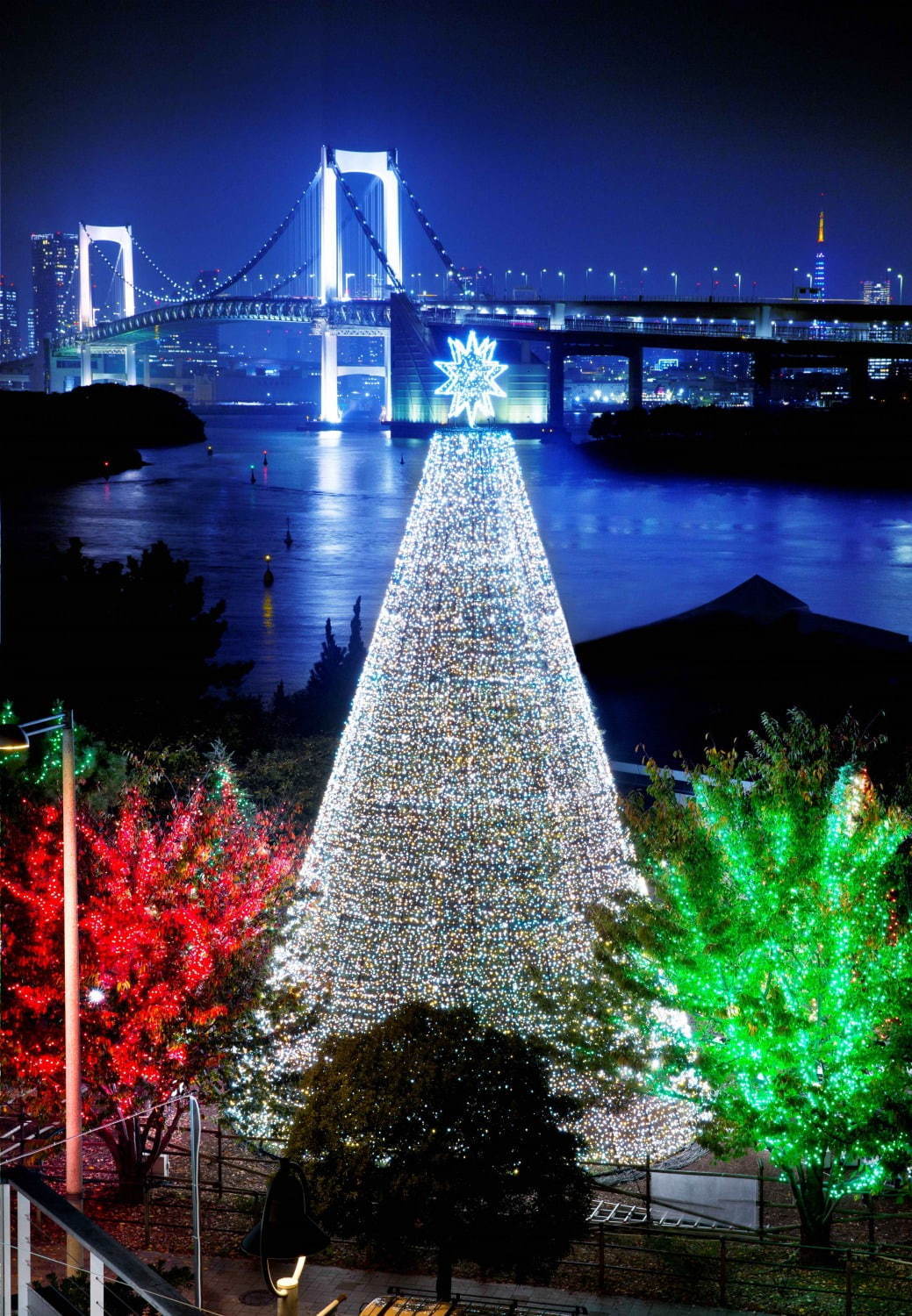 雪の降る夕方の上野公園とイルミネーション 10168002245 の写真・イラスト素材アマナイメージズ