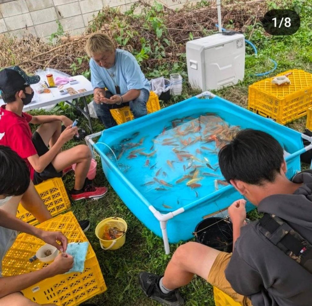 キッチンカー・屋台の出店依頼、イベント全般業務受付け専門サイト