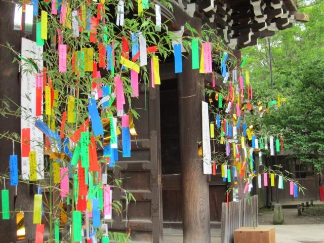 今日は七夕、竹と笹の違いって？畳表は竹の皮 生活に竹をとりいれる『おうち草履me-time 雪駄 下駄 草履 浅草老舗 辻屋本店