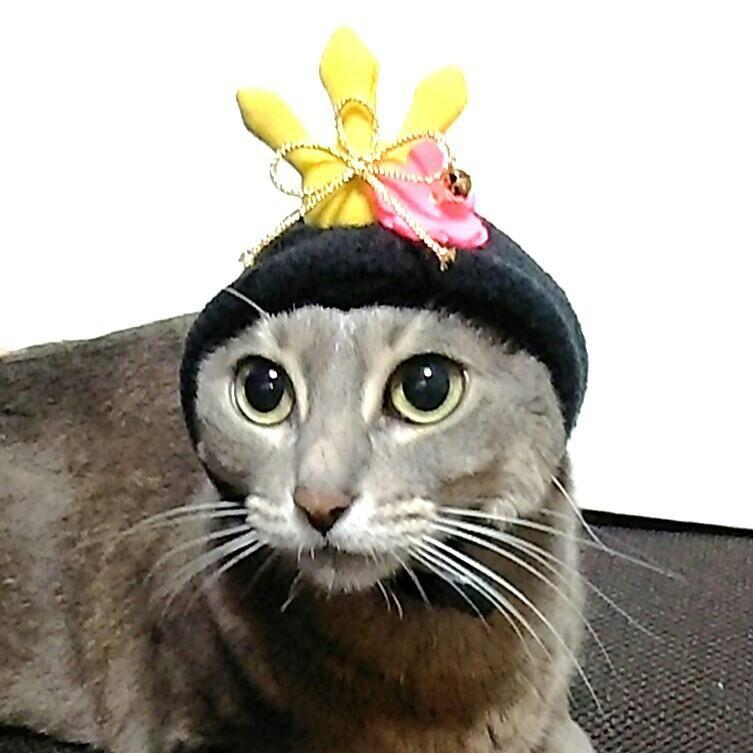 LBCPLUFFY かぶりもの お雛様Rakuten Fashion 楽天ファッション 旧楽天ブランドアベニュー KB6181