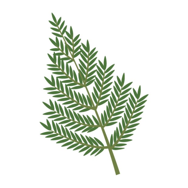 楽天市場 ☆限定３０個☆国産玉飾り 生橙付き ３寸長さ約７０ｃｍ 国産・日本製お正月飾り正月飾り 玄関しめ飾り タテ型: 花火と縁起飾り有勝堂