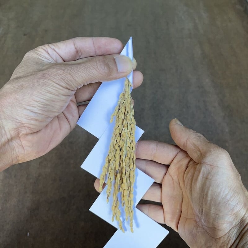 行事 保育園の年末年始に！ 年越しやお正月にちなんだ製作アイディア保育士を応援する情報サイト 保育と暮らしをすこやかに ほいくらし