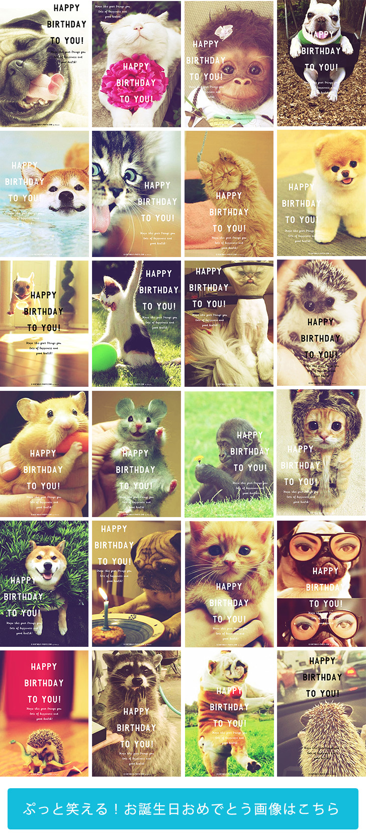 楽天市場 バースデーカード ポップアップ 誕生日 おめでとう 飛び出す 立体 可愛い メルヘン 定形 封筒つき おもしろ メッセージカード シンプル誕生日カード グリーティング バースディ お祝い テディベア 障がい者アート ポイント消化 : MFPA Japan Shop 口と足で描いた絵