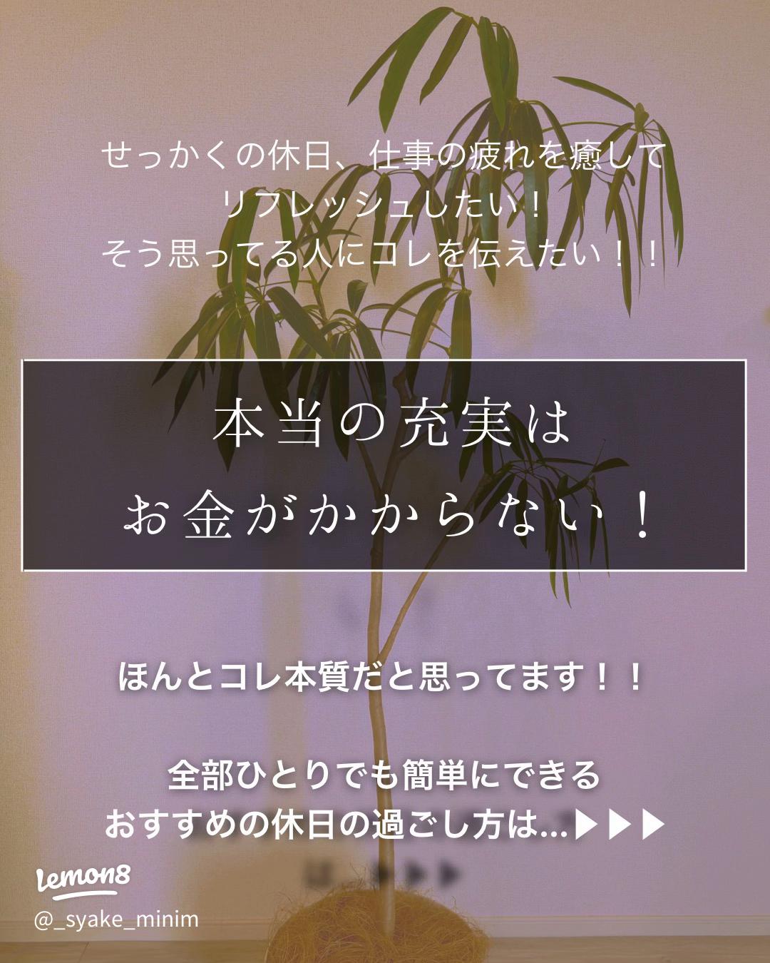 一人暮らし・インドア お金を使わない休日の過ごし方人生、ほのほど