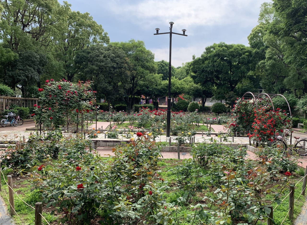 終了 第十六回 大江戸神輿まつり IN 木場公園イベント江東おでかけ情報局