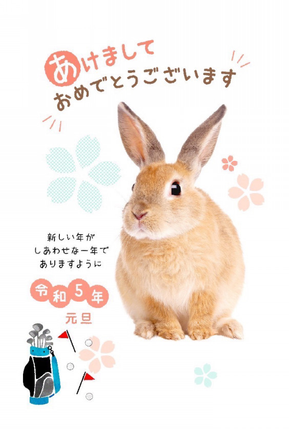 宛先に合った文例で本格的な年賀状をカンタン作成！ためになる!? はがきの豆知識年賀状・はがきのマナーや書き方がわかるお悩み解決サイト筆まめでぃあ筆まめネット