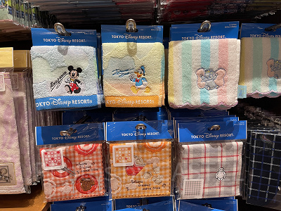 必需品・不用品 夏ディズニーの持ち物を徹底解説！猛暑日の注意点も！ 知らないと危険