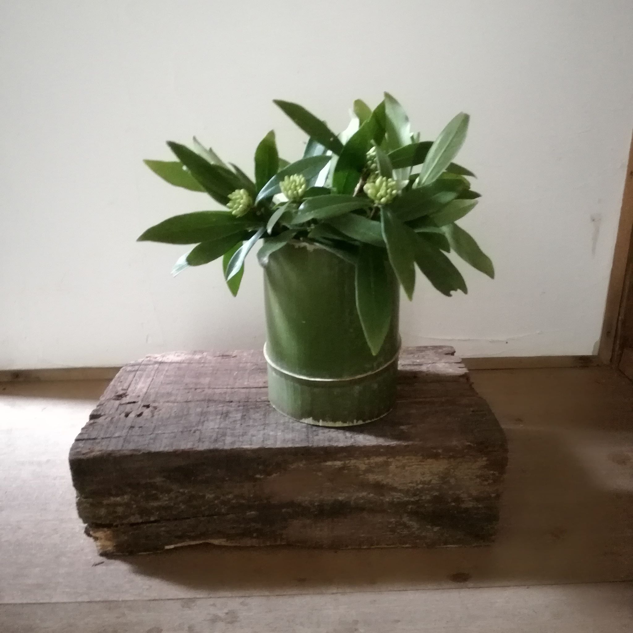 CATEGORY 季節のしつらえ・フィギア・ディスプレイ小物MY Dear LIFE