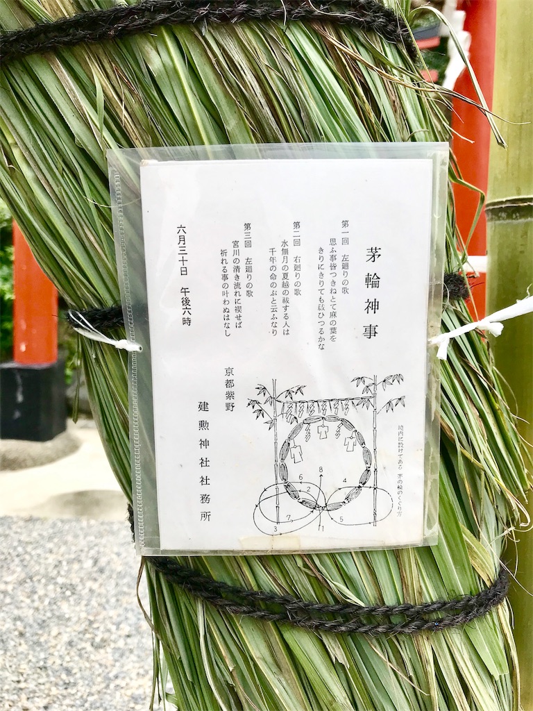 茅の輪をくぐって、水無月を食べて。6月30日「夏越の祓 はらえ 」に心とカラダを整えませんか？キナリノ