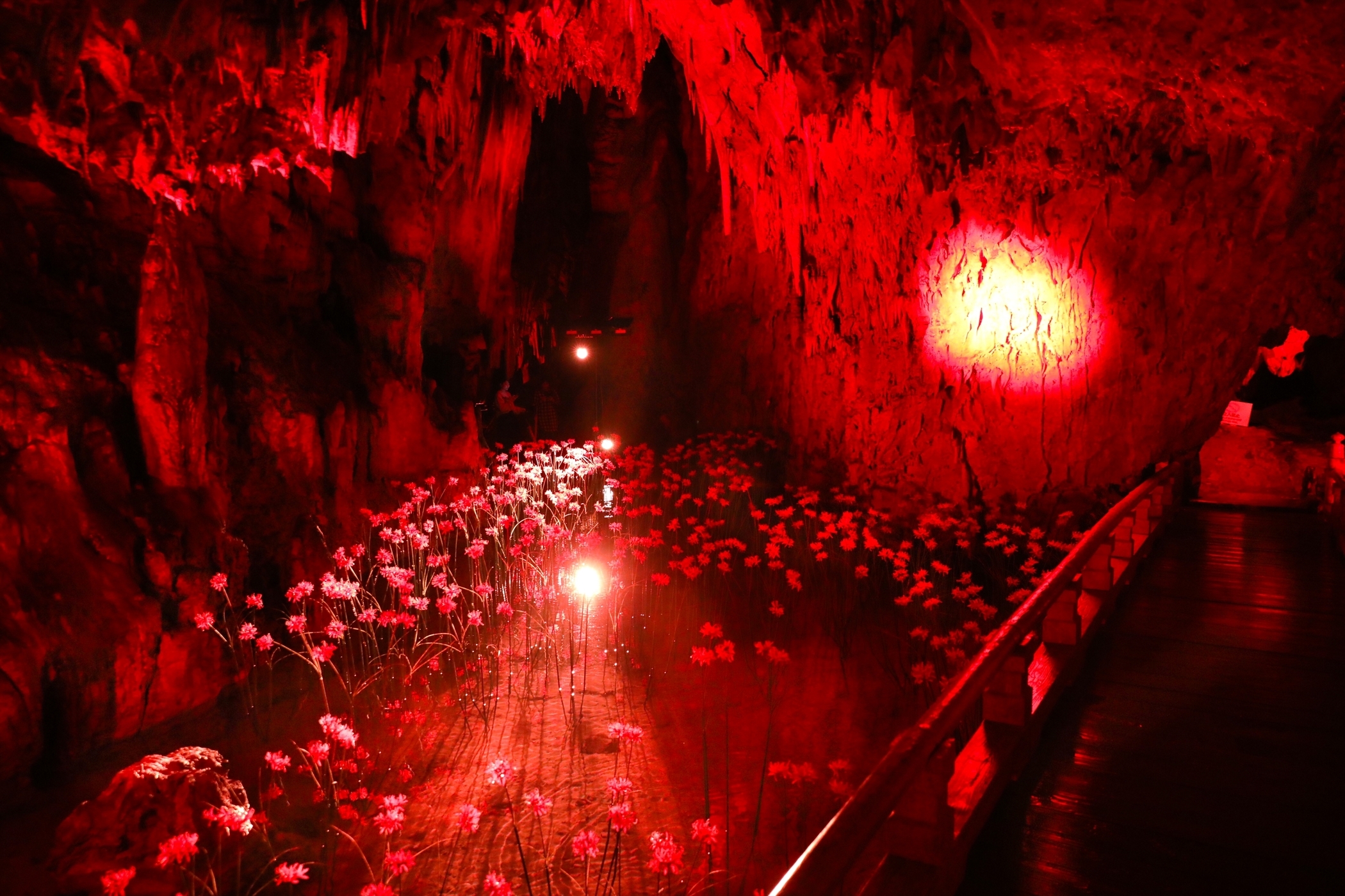 桂男 - 幻獣物語２wiki