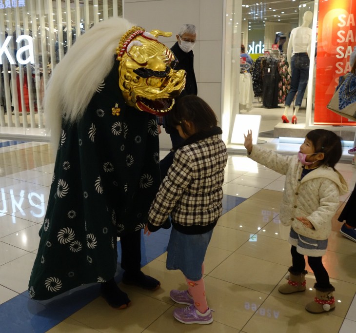 楽天市場 正月 装飾 とりよせ品 ※踊る獅子舞SS グリーン 獅子舞 獅子頭 人形 おもちゃ 玩具 踊る 動く 置物 グッズ ダンシング獅子舞 新春迎春 迎春用品 正月 お正月 正月飾り パレ : 造花ドライフラワー専門問屋花びし