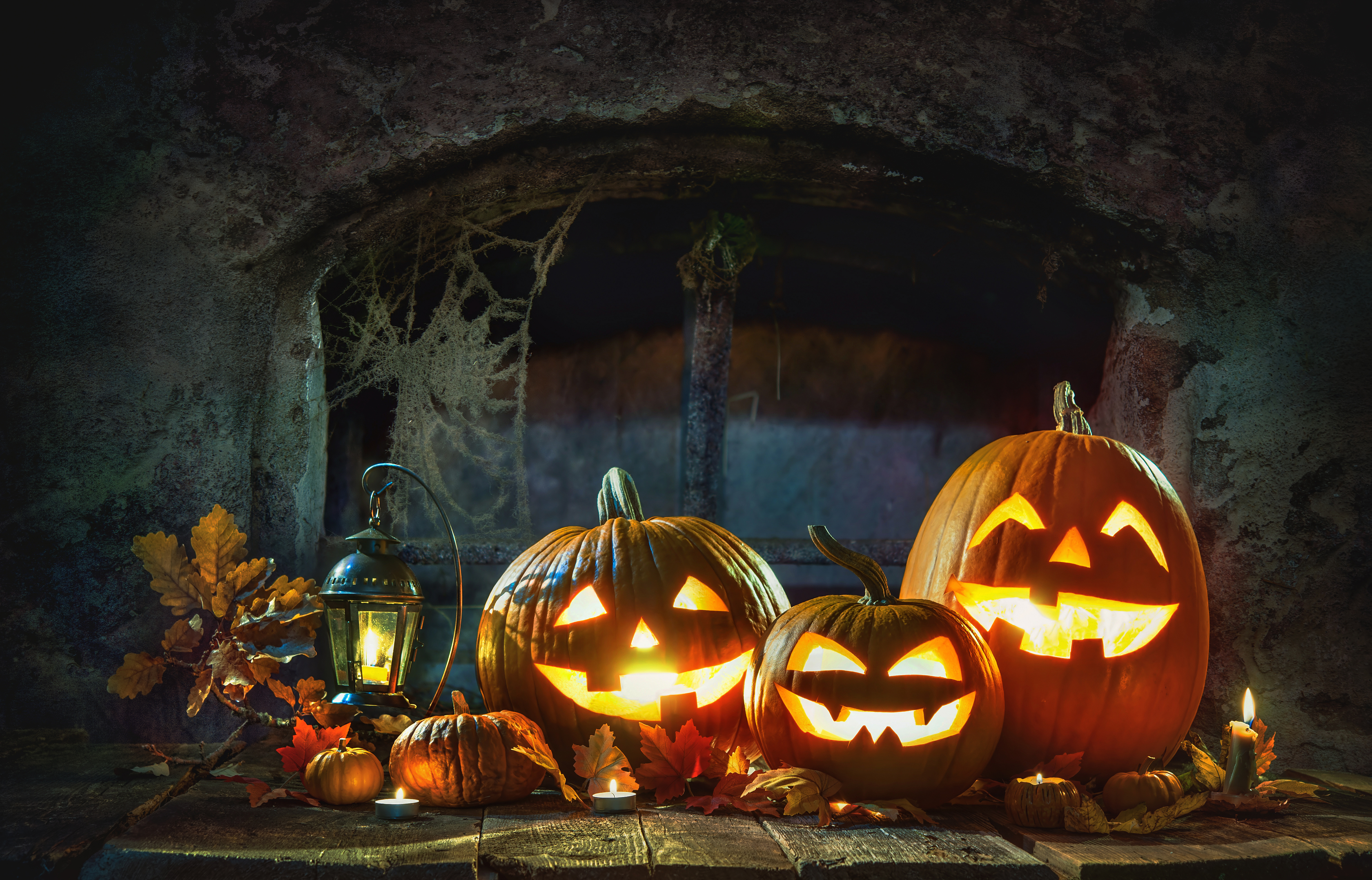 ハロウィンの飾りになぜコウモリがいるのか？ダスキン藤阿久 太田市、伊勢崎市、高崎市のお掃除はおまかせハウスクリーニングから害虫駆除まで幅広く対応