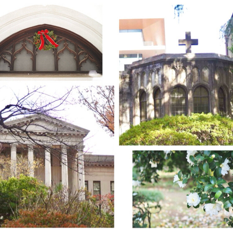 青学を応援します！GASTRONOMA ～美味しい日々～