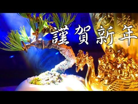 2025年巳年年賀状テンプレート無料ダウンロードできます。子供から大人まで使える2025年巳年・へび年年賀状 絵入り 期間限定でダウンロードできます子供向けイラストレーターminspice。かわいい子どもイラスト、幼児イラストから家族向けイラストまで。保育、児童書