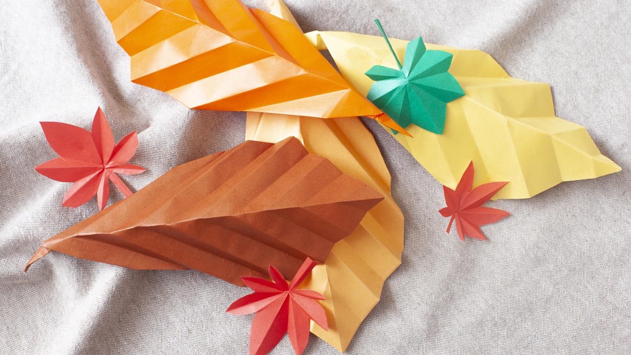 Hilarious Recreation 🏀Recommended for Halloween! Spider Catch - YouTube