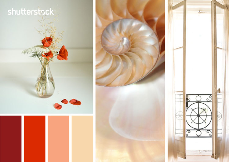 バレンタインコーデにおすすめ！パーソナルカラー別 ブラウン×ピンクの選び方 ＠東京・青山 バレンタインコーデにおすすめ！パーソナルカラー 別 ブラウン×ピンクの選び方 ＠東京・青山