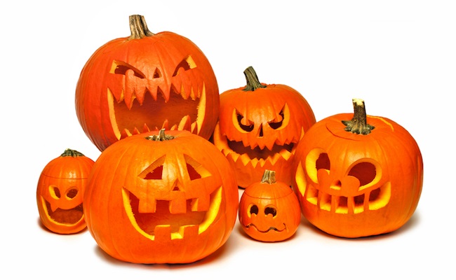 月刊 現代農業2018年11月号 産地で売り上げ5000万円突破 ハロウィンカボチャが大ブレイク