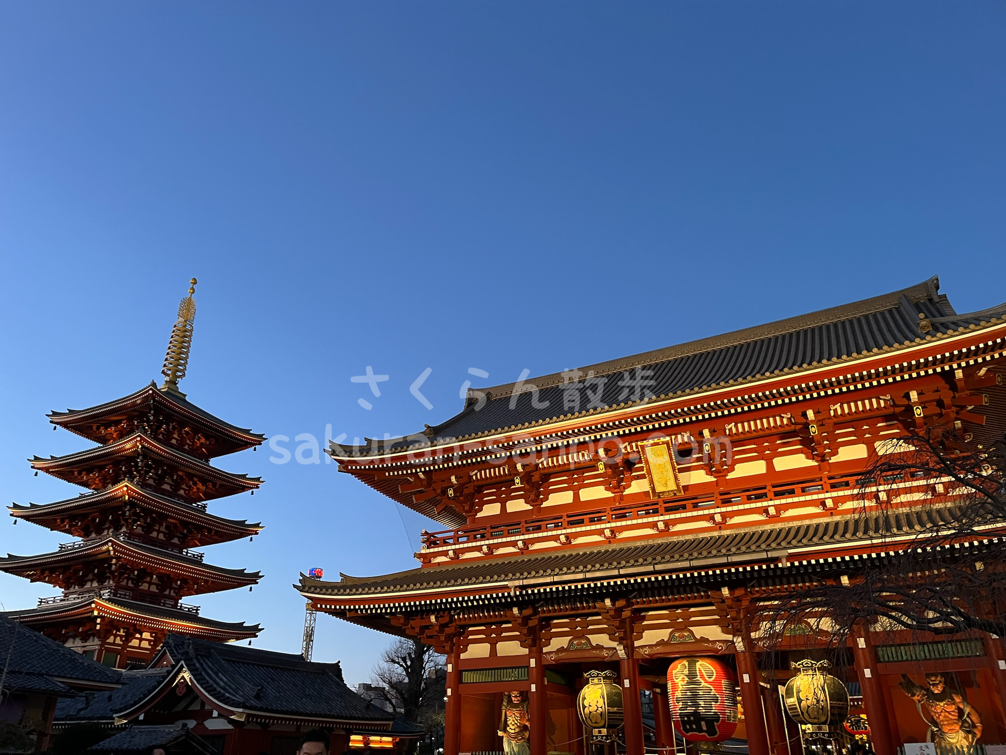 東京の最強パワースポットはココ！ ご利益たっぷりの開運神社を参拝して運気アップ トラベルコ