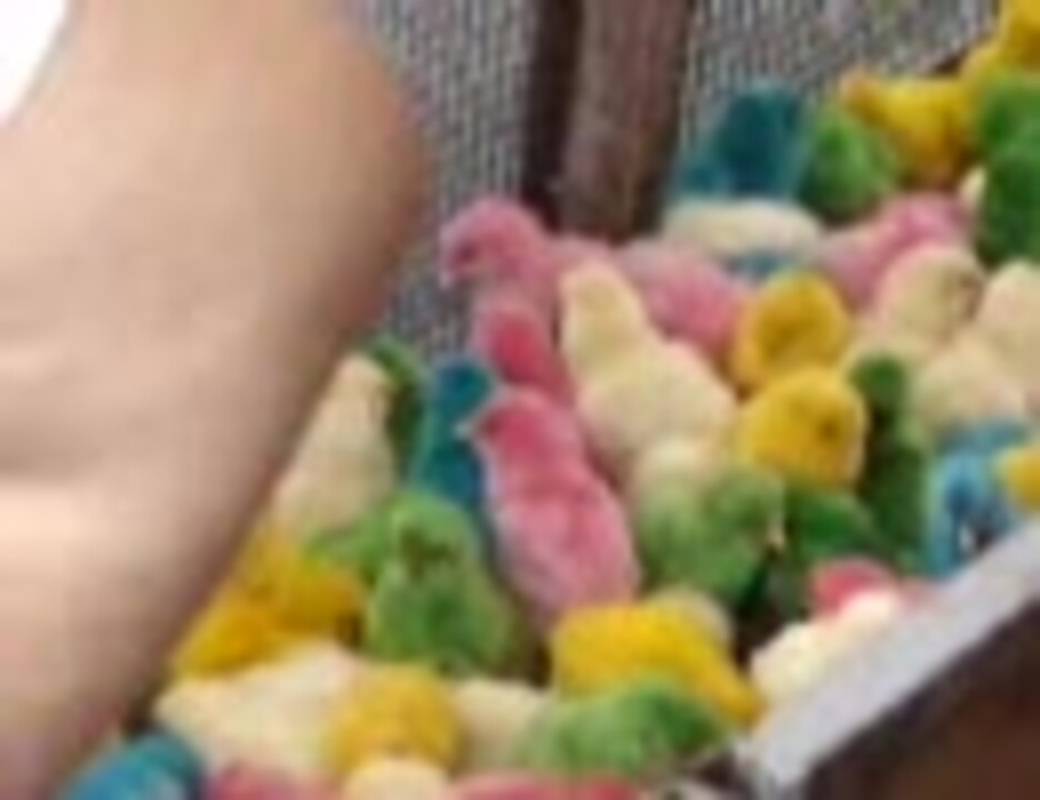 楽天市場 お祭り 屋台 ひよこの通販